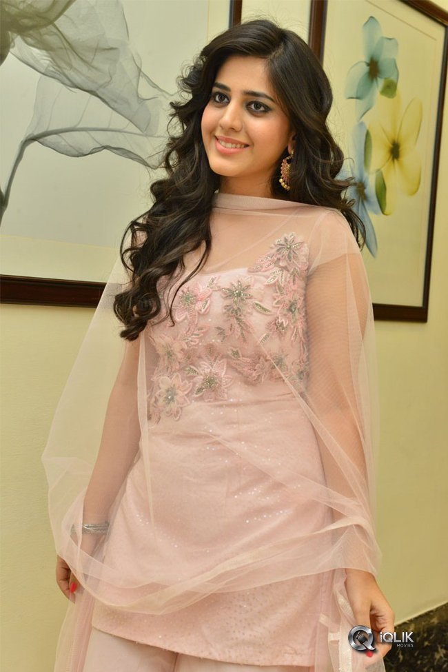 Simran-Pareenja-New-Photos